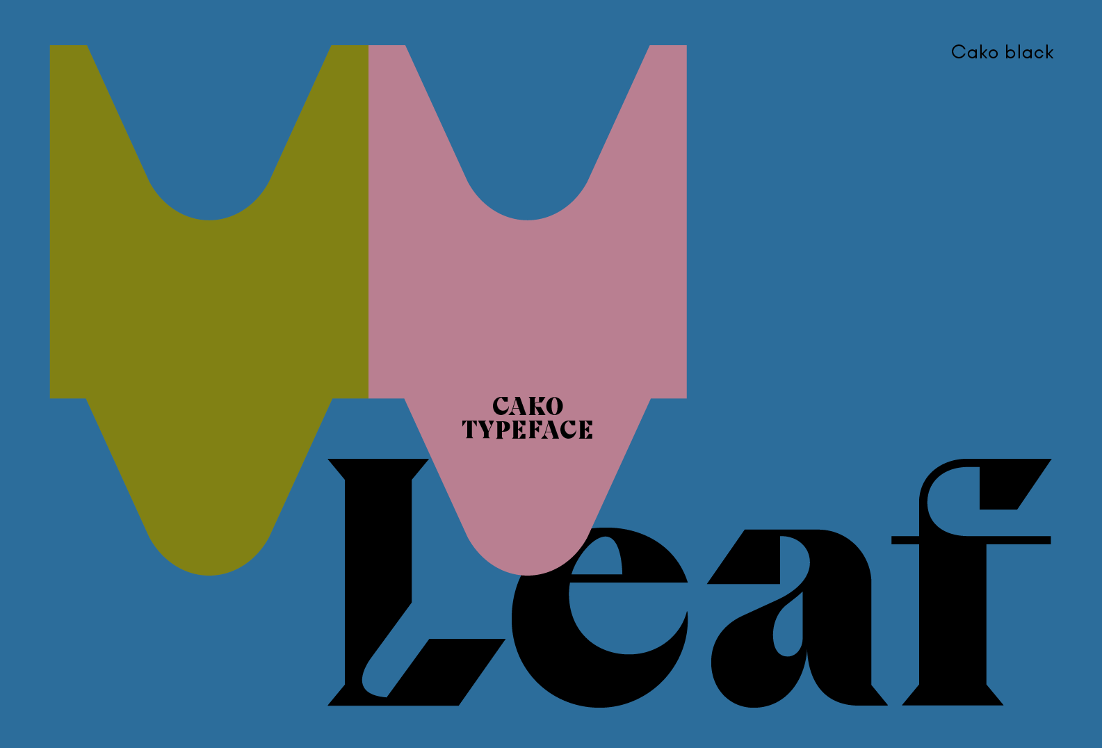 1301-thedsgnblog-cako-type-family-redirect-typeface-violaine-jeremy-designed-paris-schneider-makes-unique-graphic-blue-grey-landscape-image-reference-only.png