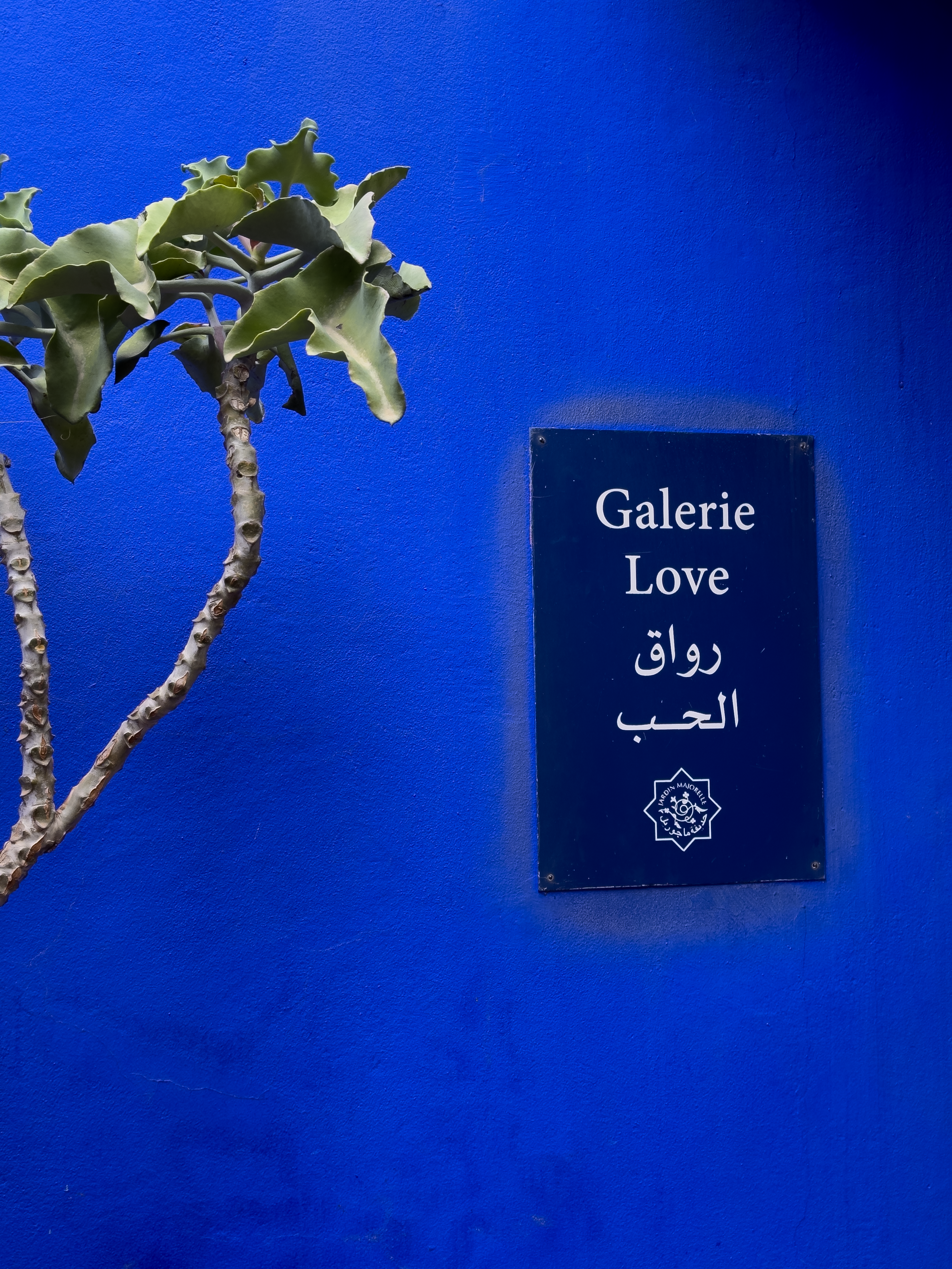 1554-galerie-lore-sign-blue-wall-plant-blue-portrait-paul-underwood-original-work.png