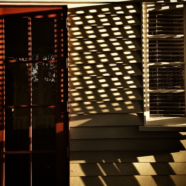 0472-pga6uktalz-australia-winter-sunlight-black-brown-square-image-paul-underwood-original-work.jpg