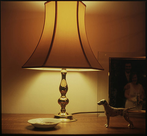 0451-still-life-dog-lamp-frame-middle-england-paul-underwood-brown-black-square-image-paul-underwood-original-work.jpg