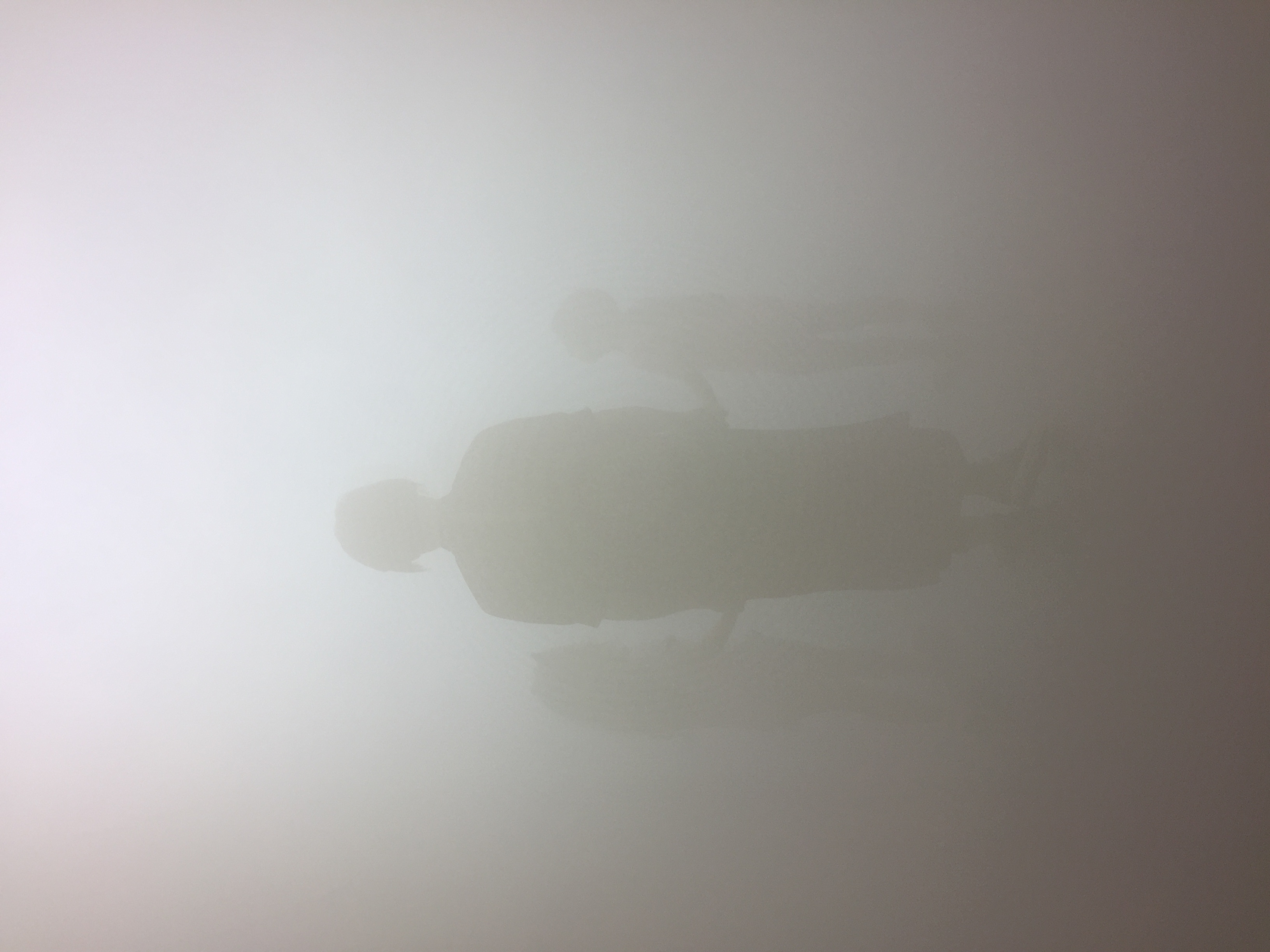 1315-olafur-eliasson-brown-grey-portrait-image-paul-underwood-original-work.jpg