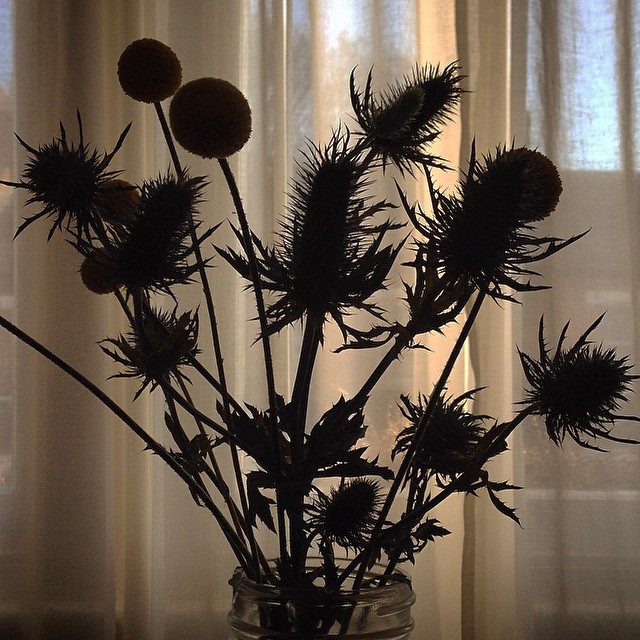0532-oazavd-flowers-silhouette-black-brown-square-image-paul-underwood-original-work.jpg