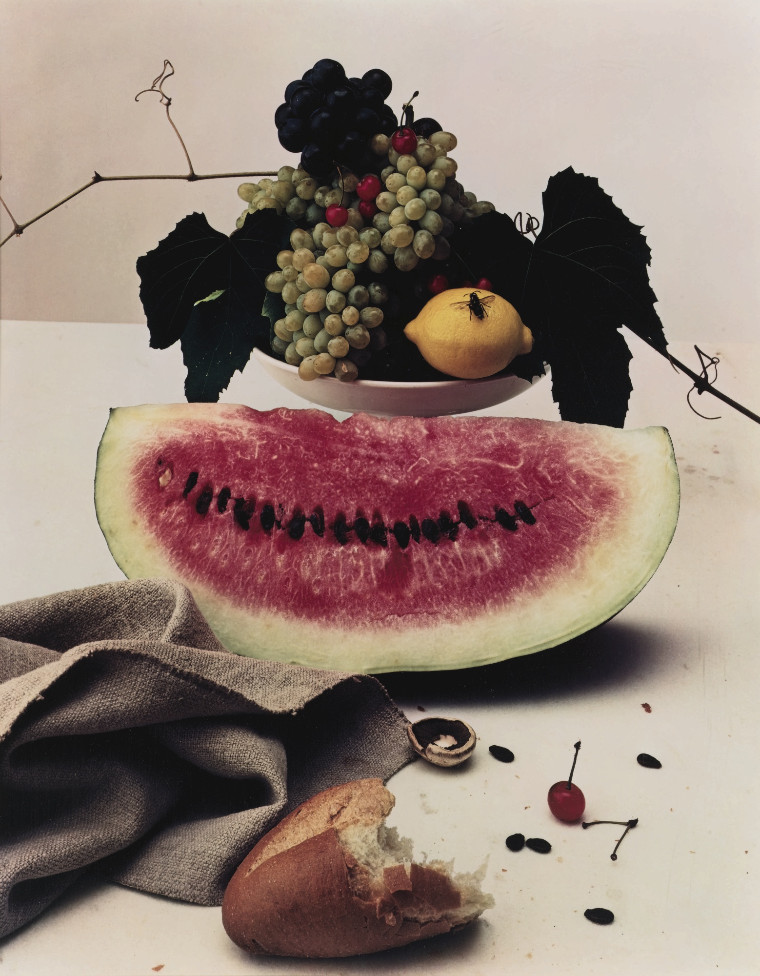 1414-irving-penn-still-life-sac-contient-watermelon-new-york-dye-transfer-print-white-black-portrait-image-reference-only.jpg