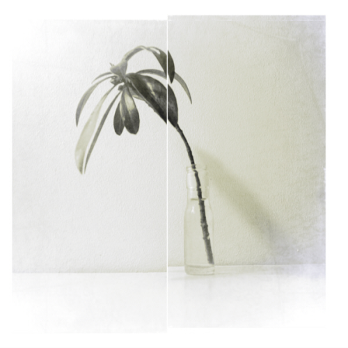 0992-visual-artwork-white-beige-square-image-reference-only.png