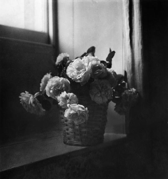 0284-british-vogue-archive-flowers-black-white-window-beige-black-square-image-reference-only.jpg
