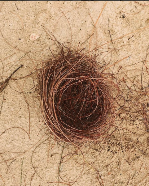 1070-nest-beige-brown-portrait-image-reference-only.png