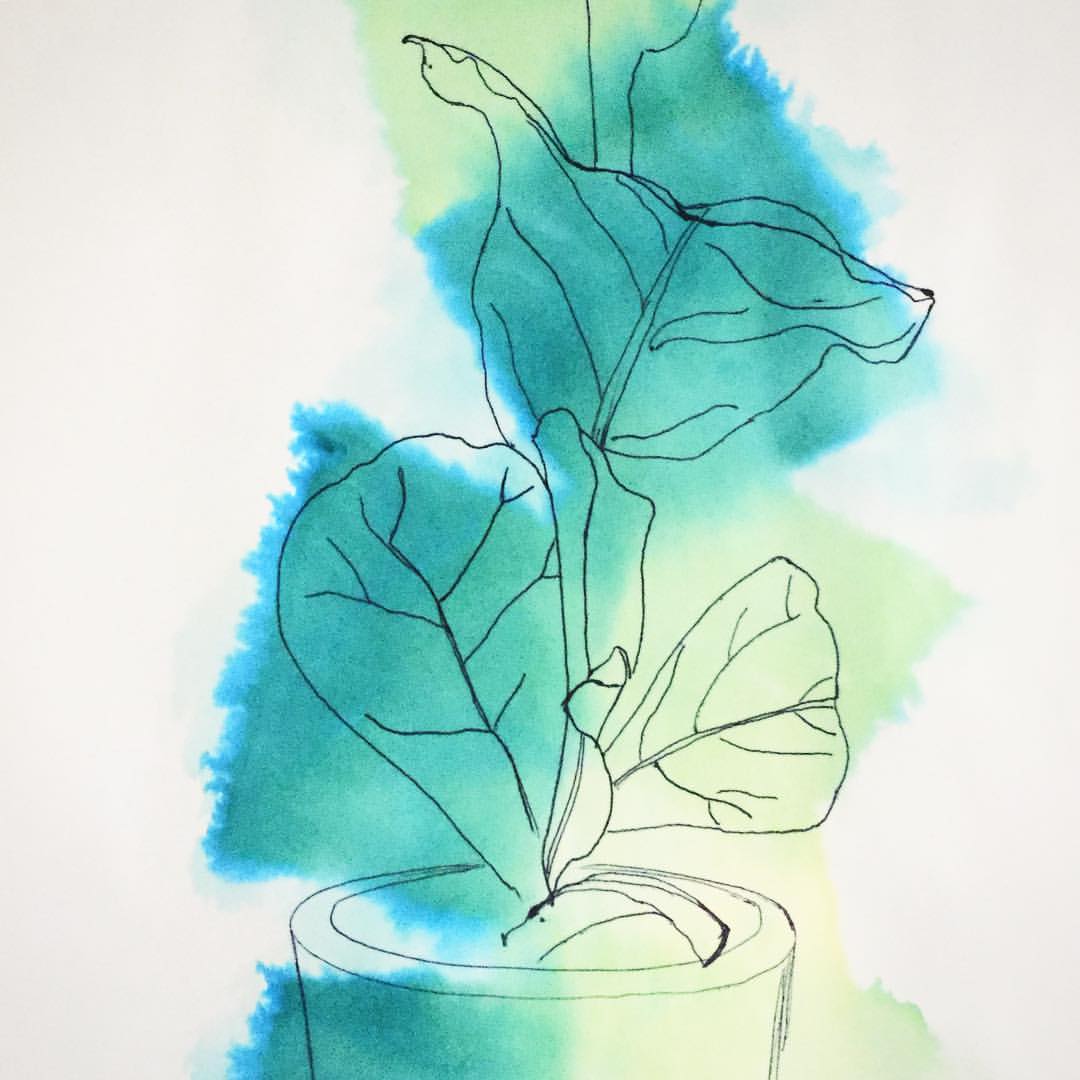 1027-bzguffbakpn-plants-colouredsquares-drawing-white-teal-square-image-paul-underwood-original-work.jpg