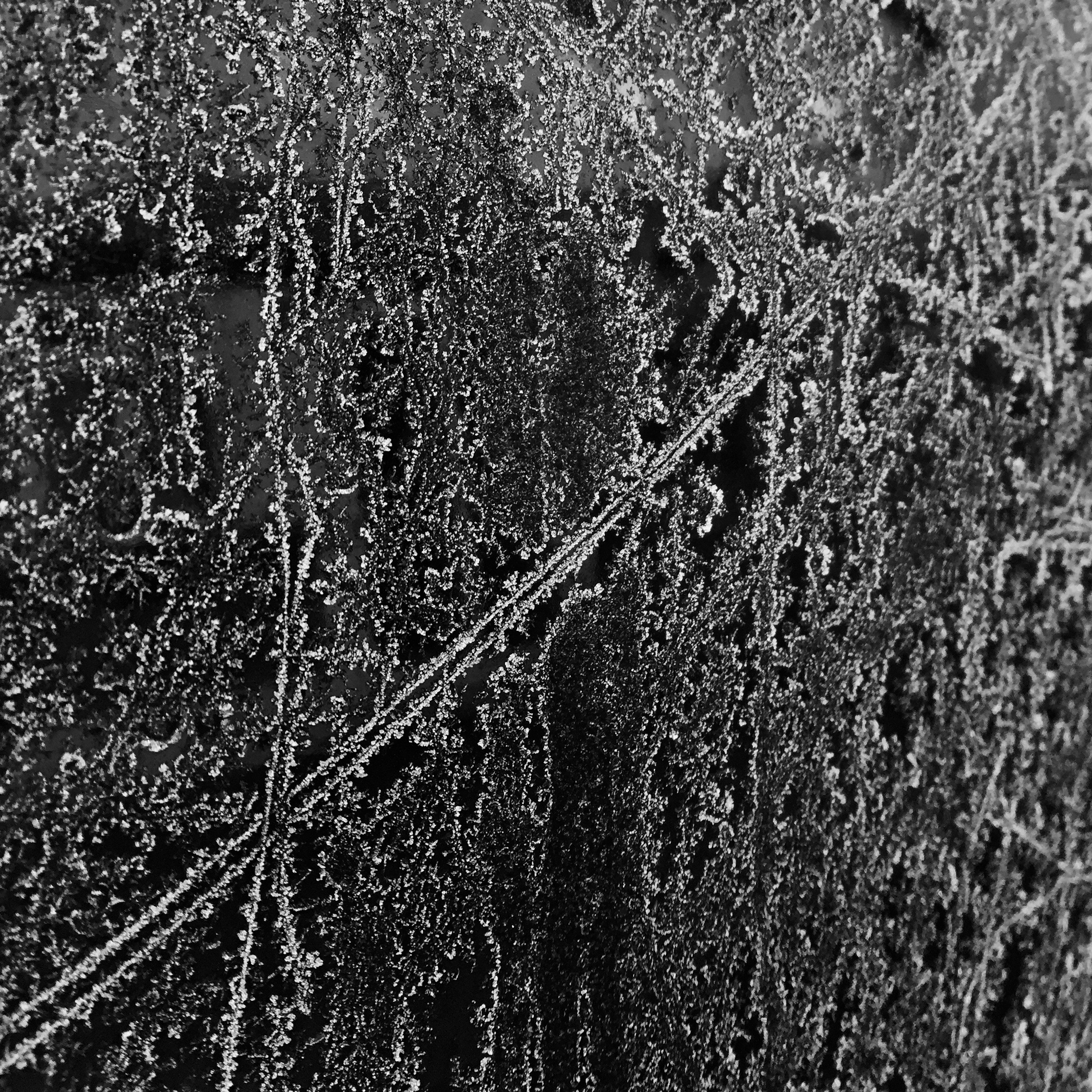0885-frost-details-black-brown-square-image-paul-underwood-original-work.jpg