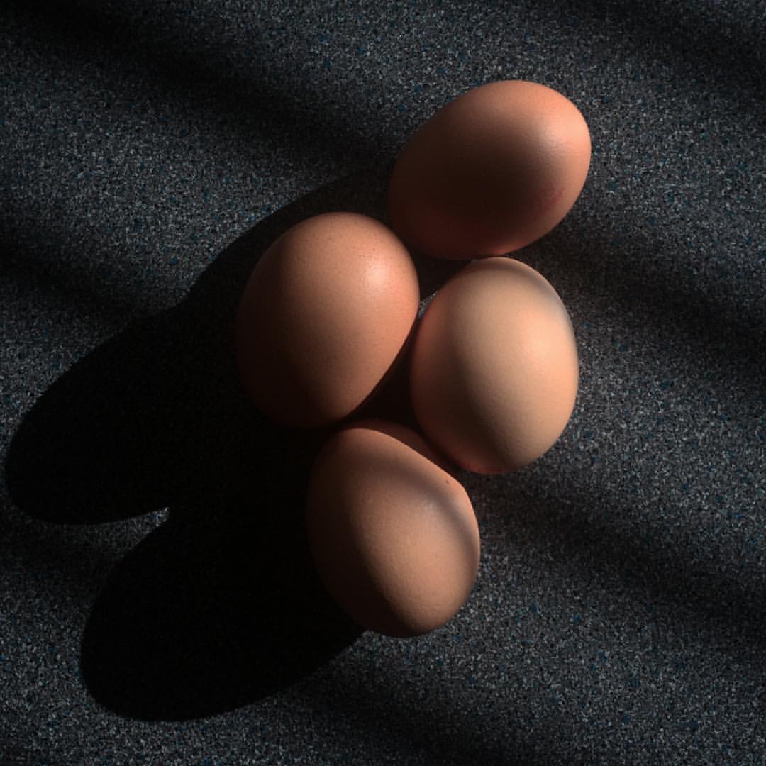 0797-bes0lmlzavd-shadows-breakfast-eggs-black-brown-square-image-paul-underwood-original-work.jpg