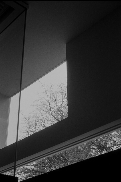 0343-paulunderwood-black-white-wall-building-glass-recce-day-detail-black-brown-portrait-image-paul-underwood-original-work.jpg