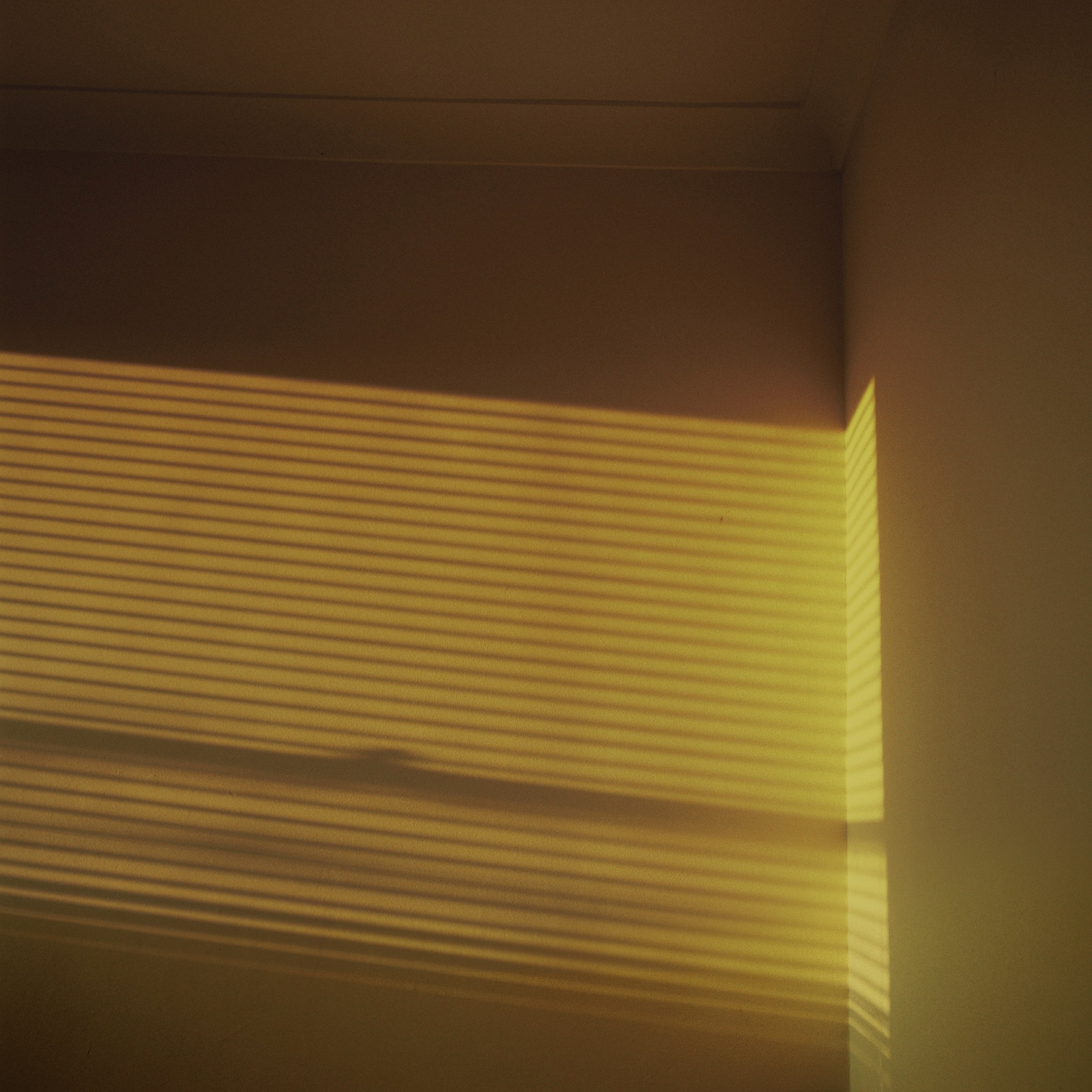 0160-sunlight-window-barretts-grove-black-brown-square-image-paul-underwood-original-work.jpg