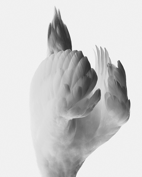 1224-visual-artwork-white-grey-portrait-image-reference-only.jpg