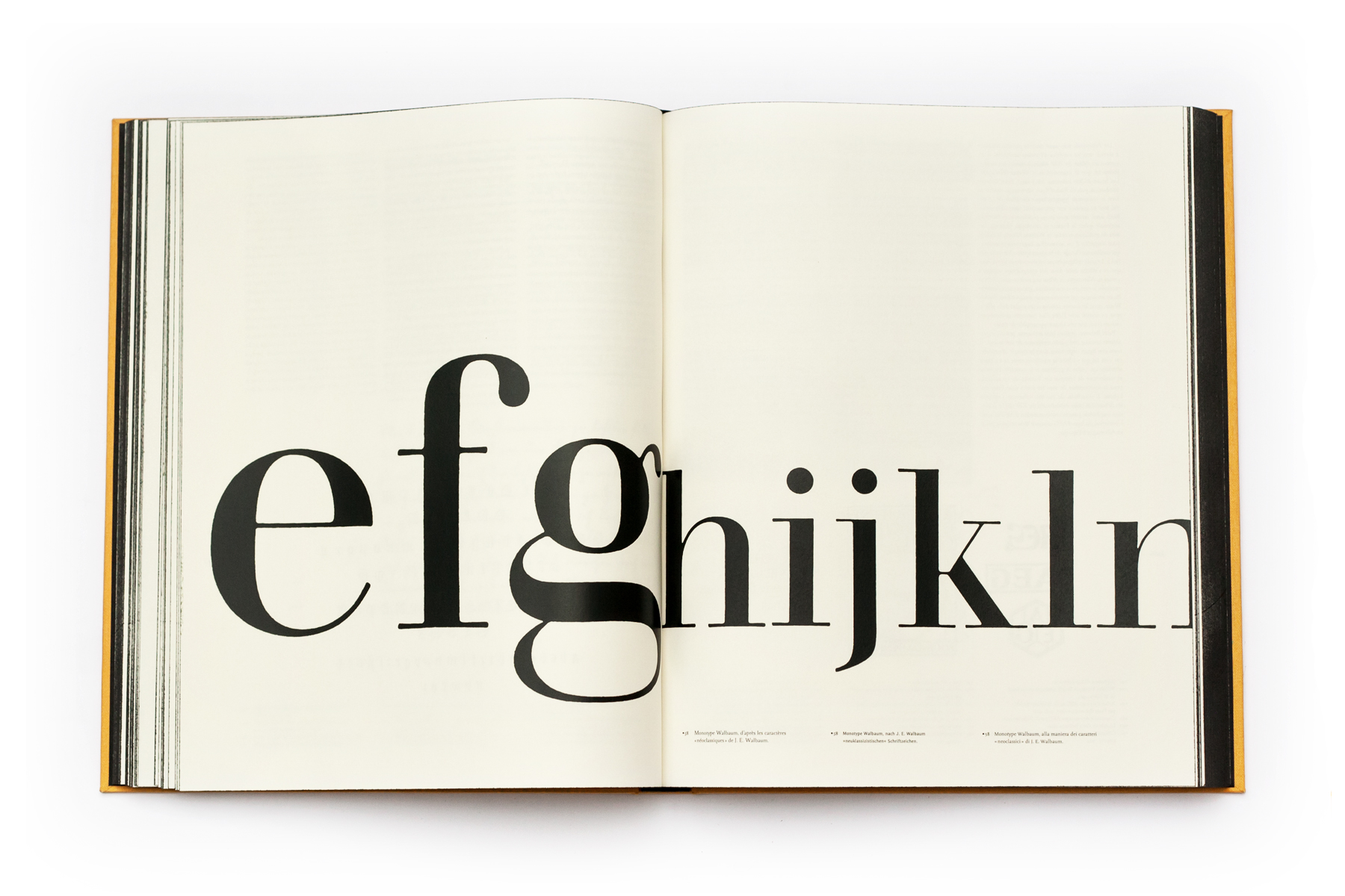 0374-shelf-theshelf-company-dalle-type-layout-design-typography-lover-doorstop-translatio-typographiae-preliminary-creation-white-beige-landscape-image-reference-only.jpg