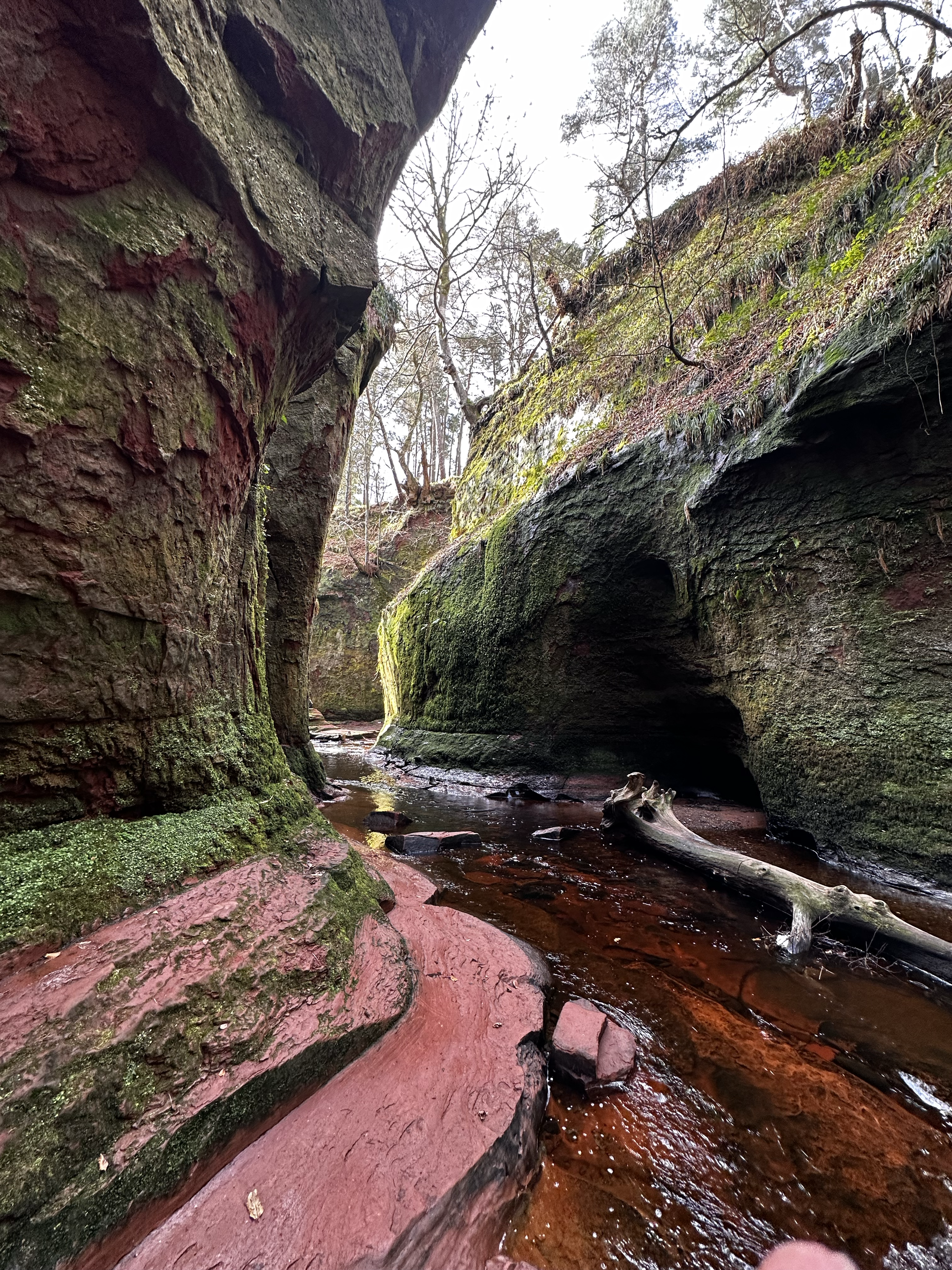 1562-rock-gorge-stream-mossy-cliffs-brown-black-portrait-paul-underwood-original-work.png