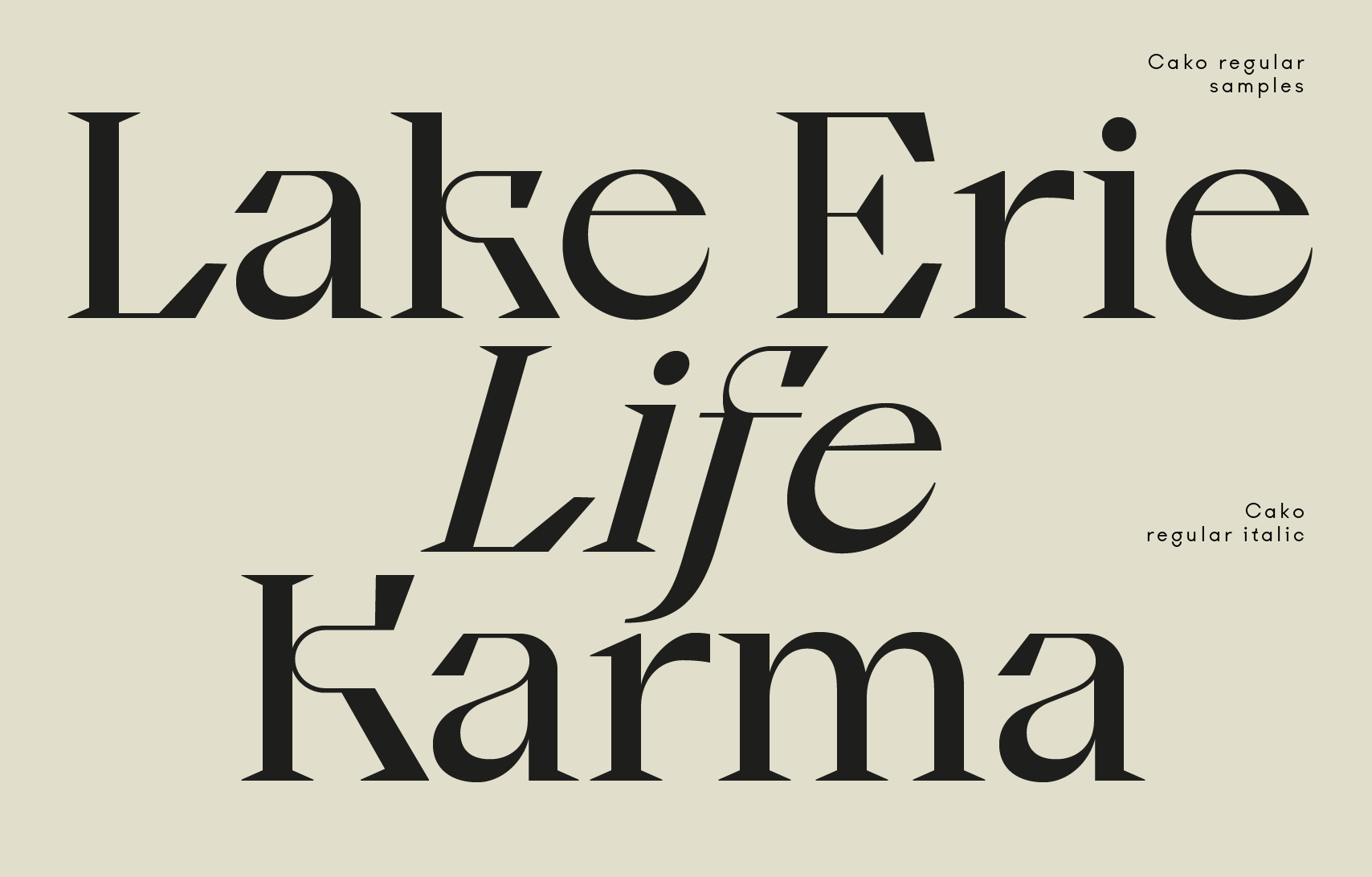 1302-thedsgnblog-cako-type-family-redirect-typeface-violaine-jeremy-designed-paris-schneider-makes-unique-graphic-white-grey-landscape-image-reference-only.png
