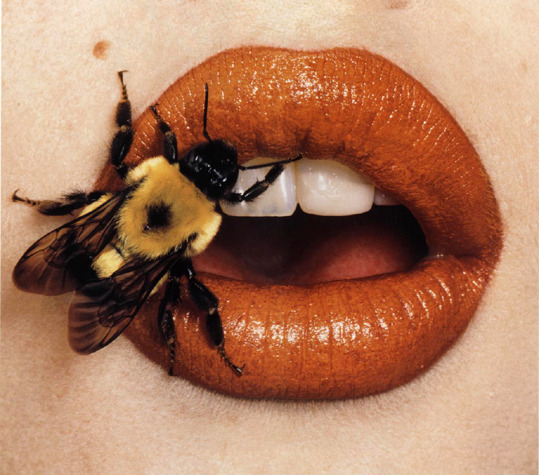 0388-lips-bee-red-black-landscape-image-reference-only.jpg