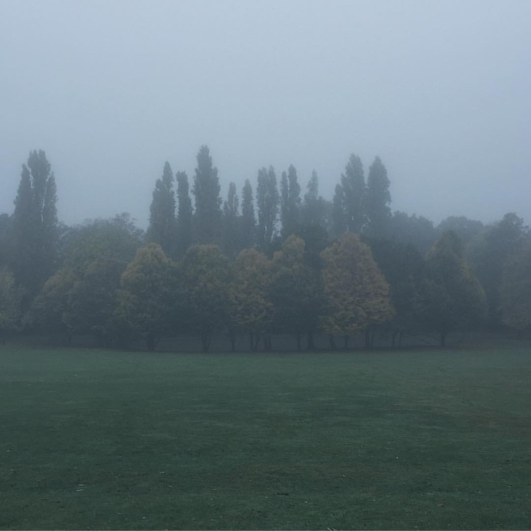 0863-bmlt829hpyd-autumn-misty-ruleofthirds-glooming-morning-horniman-museum-gardens-beige-green-square-image-paul-underwood-original-work.jpg