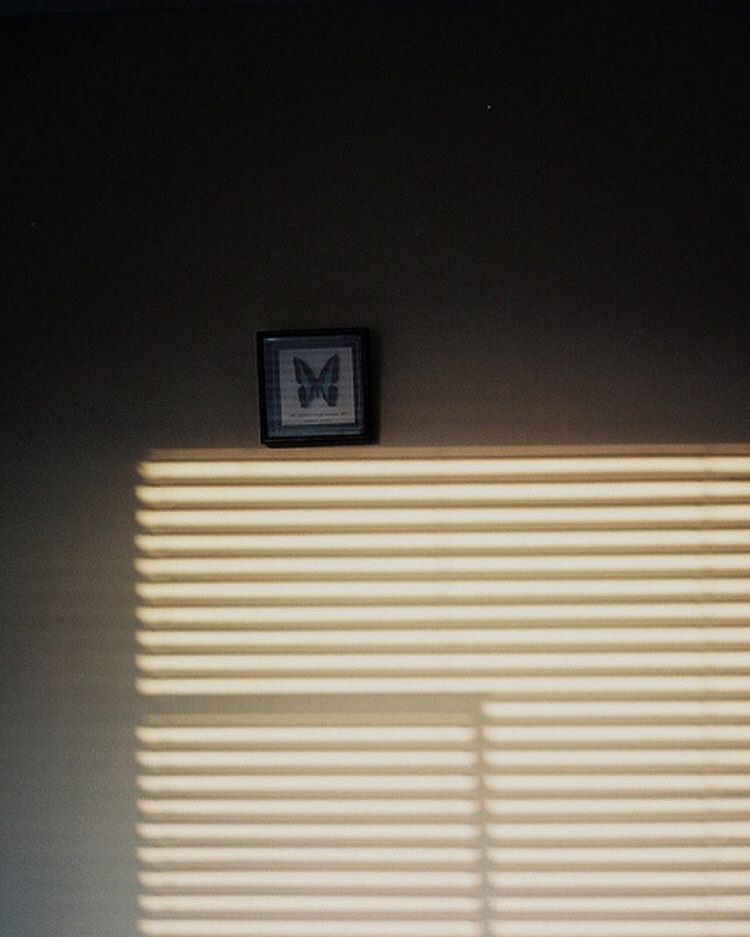 0774-bddqgdlzagl-shadows-butterfly-blinds-afternoonlight-beige-black-portrait-image-paul-underwood-original-work.jpg