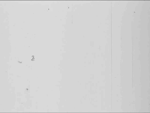 0105-manfred-mohrs-youtube-channel-collection-user-manfredemohr-prostheticknowledge-videos-featuring-pioneering-computer-artist-mohr-beige-white-landscape-animated-gif-reference-only.gif