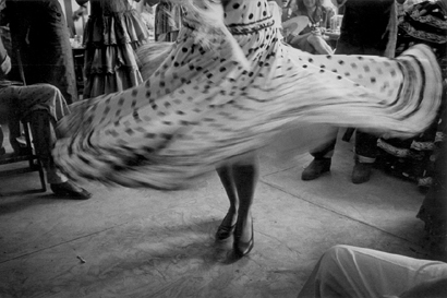 0272-jacques-henri-lartigue-black-white-french-june-september-photographer-painter-brown-black-landscape-image-reference-only.jpg