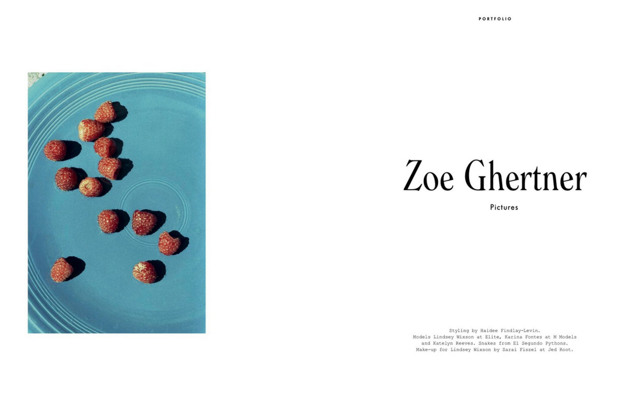 0635-zoe-ghertner-layout-white-grey-landscape-image-reference-only.png