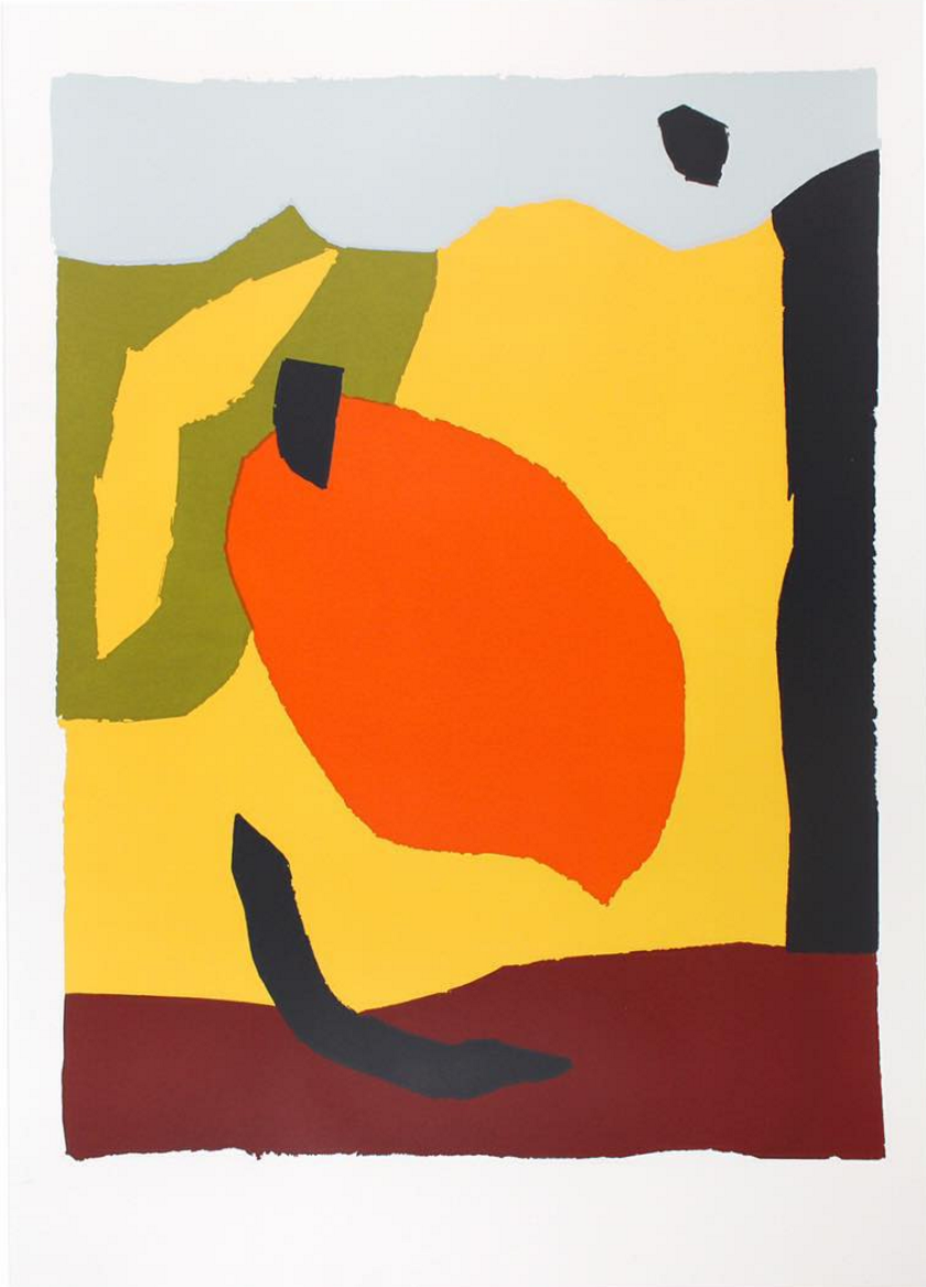 0812-danieljfletcher-daniel-fletcher-artists-screen-prints-art-printing-yellow-orange-portrait-image-reference-only.png