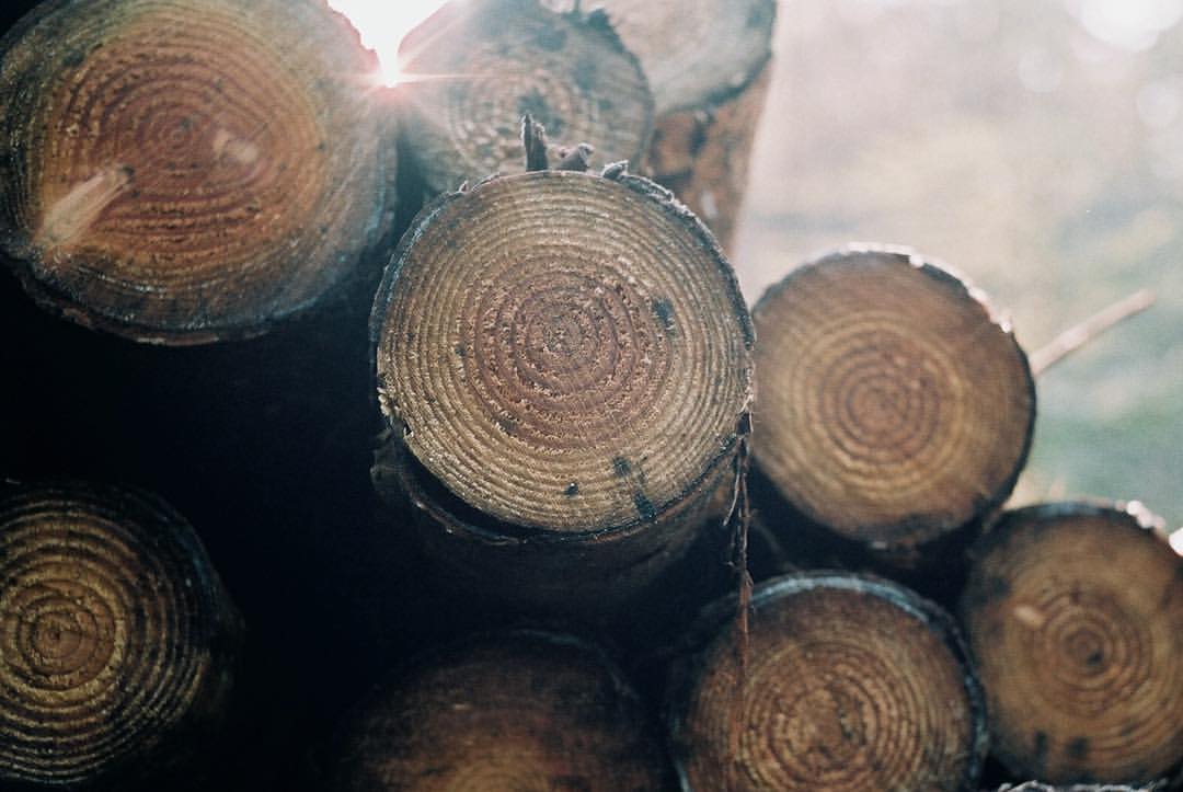0781-bdu4swizatg-wood-forrest-logs-black-grey-landscape-image-paul-underwood-original-work.jpg