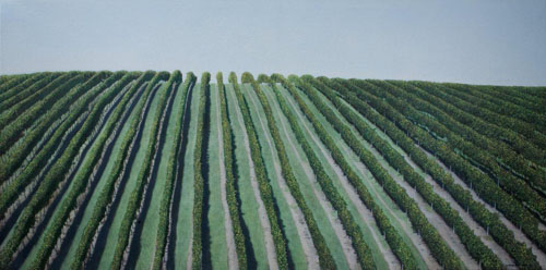 0485-william-delafield-cook-photorealist-painting-art-paintings-honest-view-colour-texture-australian-landscape-stunning-green-black-landscape-image-reference-only.jpg