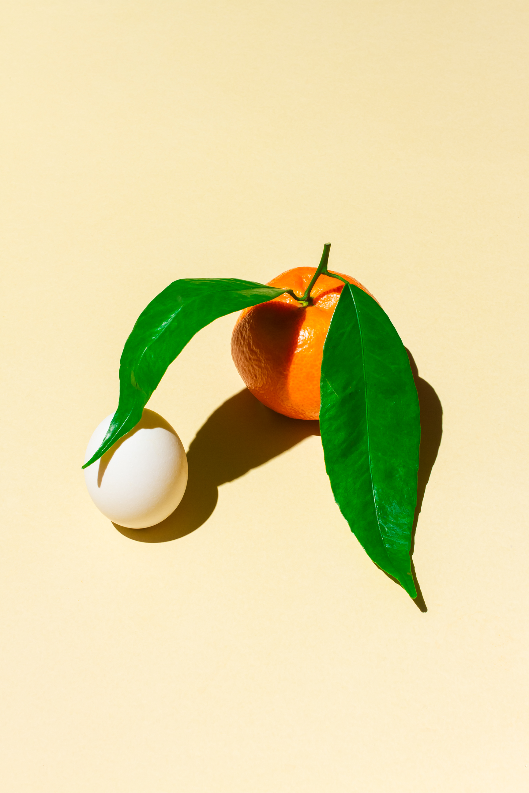 0408-spring-one-week-heres-new-nice-itsnicethat-printedpagesmagazine-still-life-mauriziodiiorio-printed-pages-cover-white-grey-portrait-image-reference-only.jpg