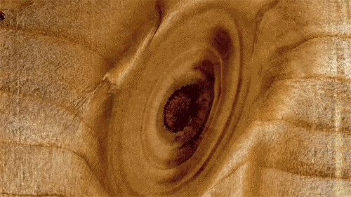 1434-visual-artwork-brown-orange-landscape-animated-gif-reference-only.gif