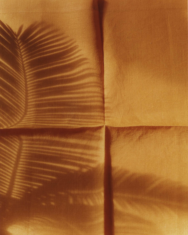 1358-visual-artwork-brown-orange-portrait-image-reference-only.png