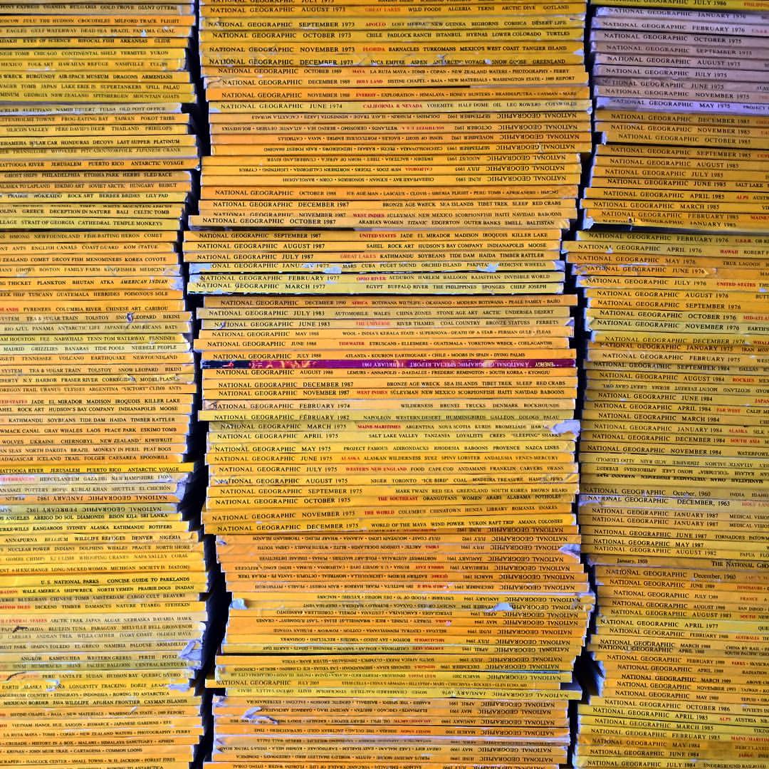 1077-bh1sthlfq-collection-natgeo-beige-orange-square-image-paul-underwood-original-work.jpg