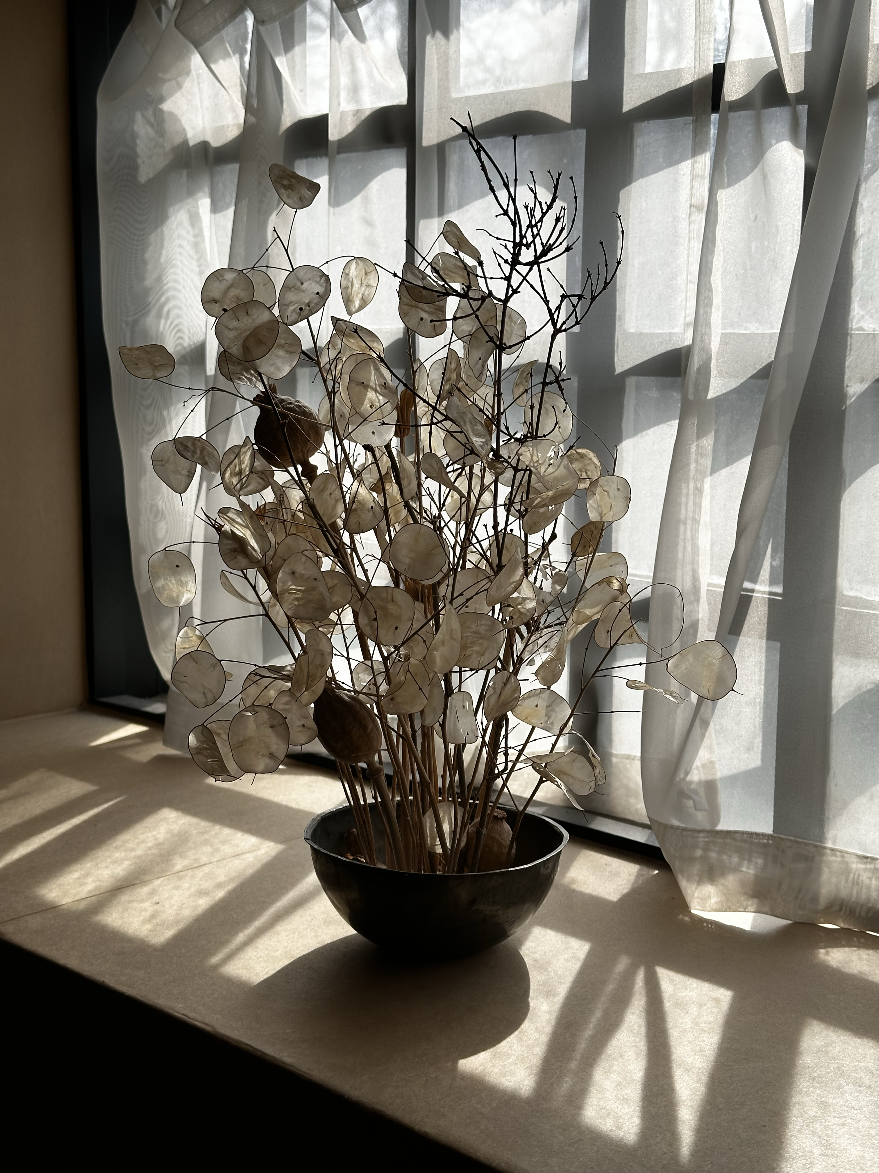 1557-dried-flowers-vase-window-shadows-brown-grey-portrait-paul-underwood-original-work.png