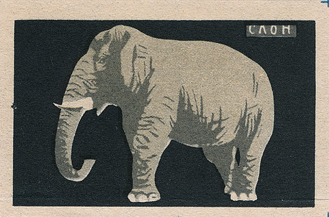 0086-illustration-elephant-black-grey-landscape-image-reference-only.jpg