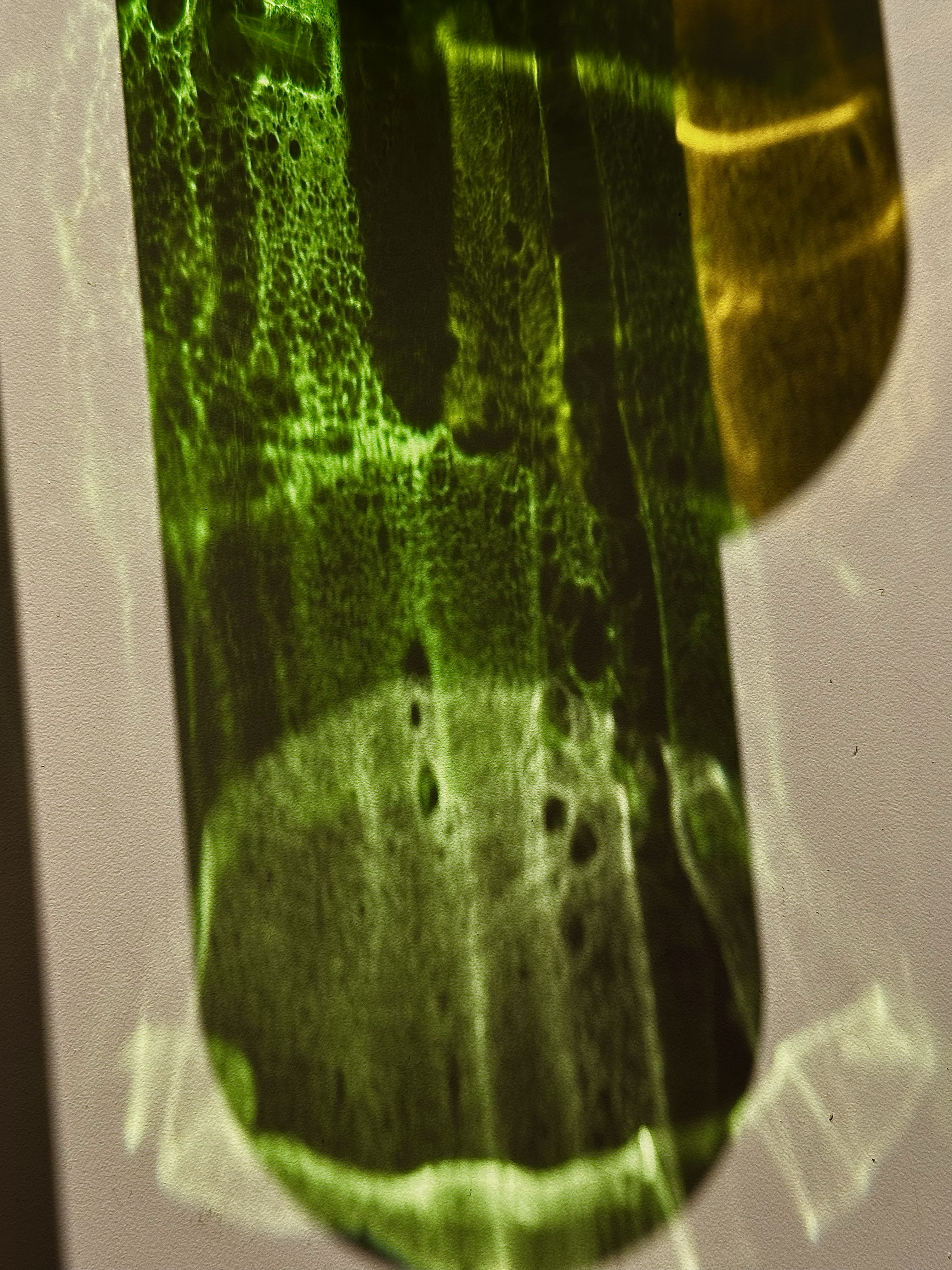 1589-green-glass-light-refraction-detail-beige-black-portrait-paul-underwood-original-work.png