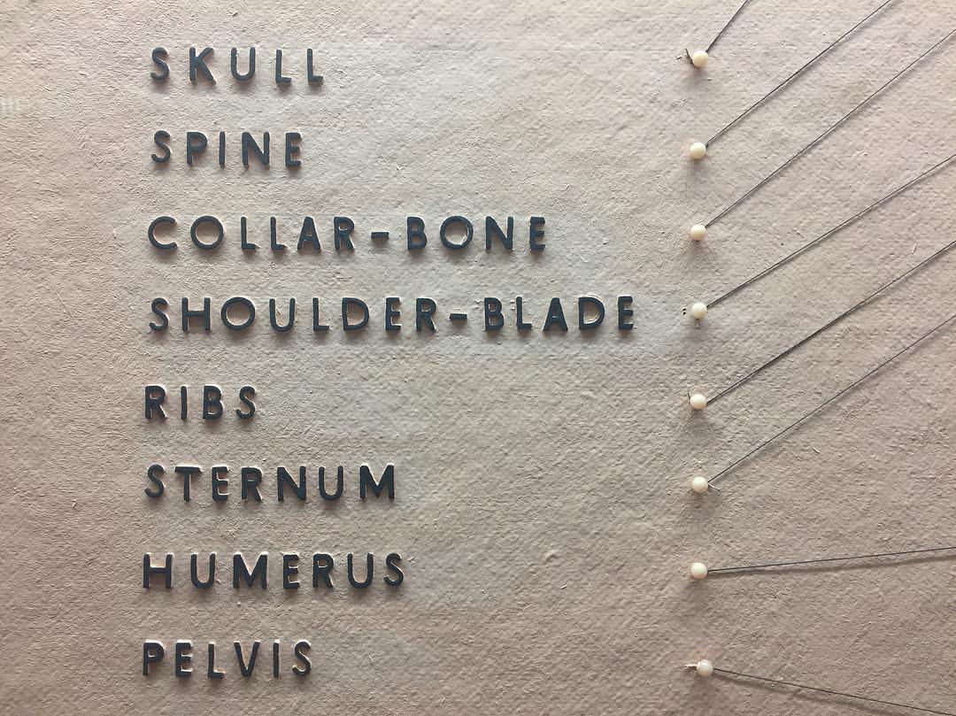 1214-bn6kzbplvqa-layout-type-signage-thebody-bones-horniman-museum-gardens-beige-grey-landscape-image-paul-underwood-original-work.jpg
