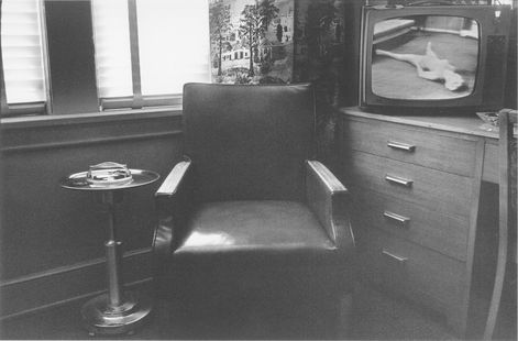 0281-black-white-america-lee-friedlander-photographer-grey-brown-landscape-image-reference-only.jpg
