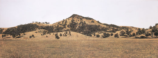 0488-william-delafield-cook-photorealist-painting-art-paintings-honest-view-colour-texture-australian-landscape-stunning-white-grey-landscape-image-reference-only.jpg