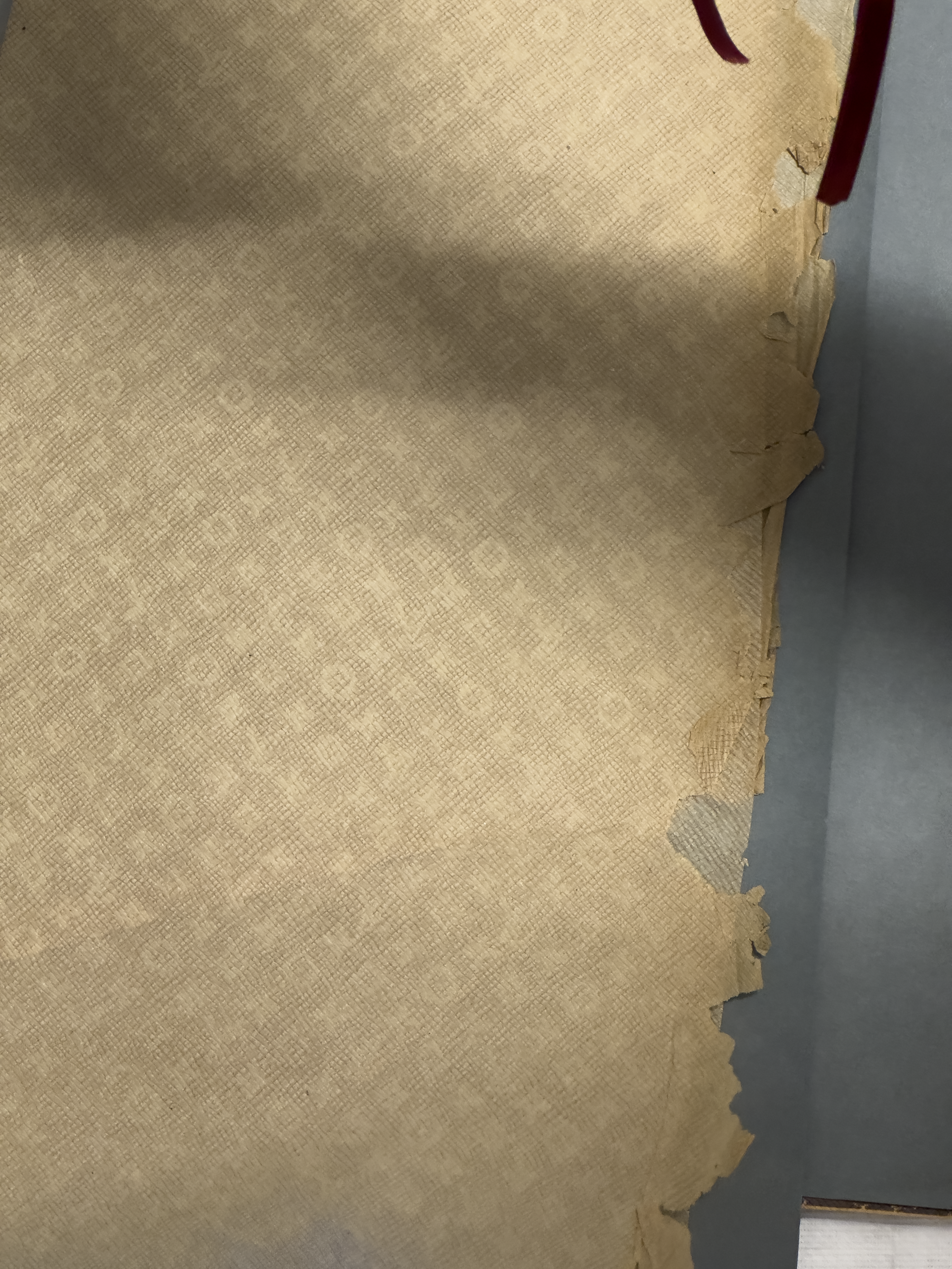 1592-white-translucent-textile-dot-pattern-beige-grey-portrait-paul-underwood-original-work.png