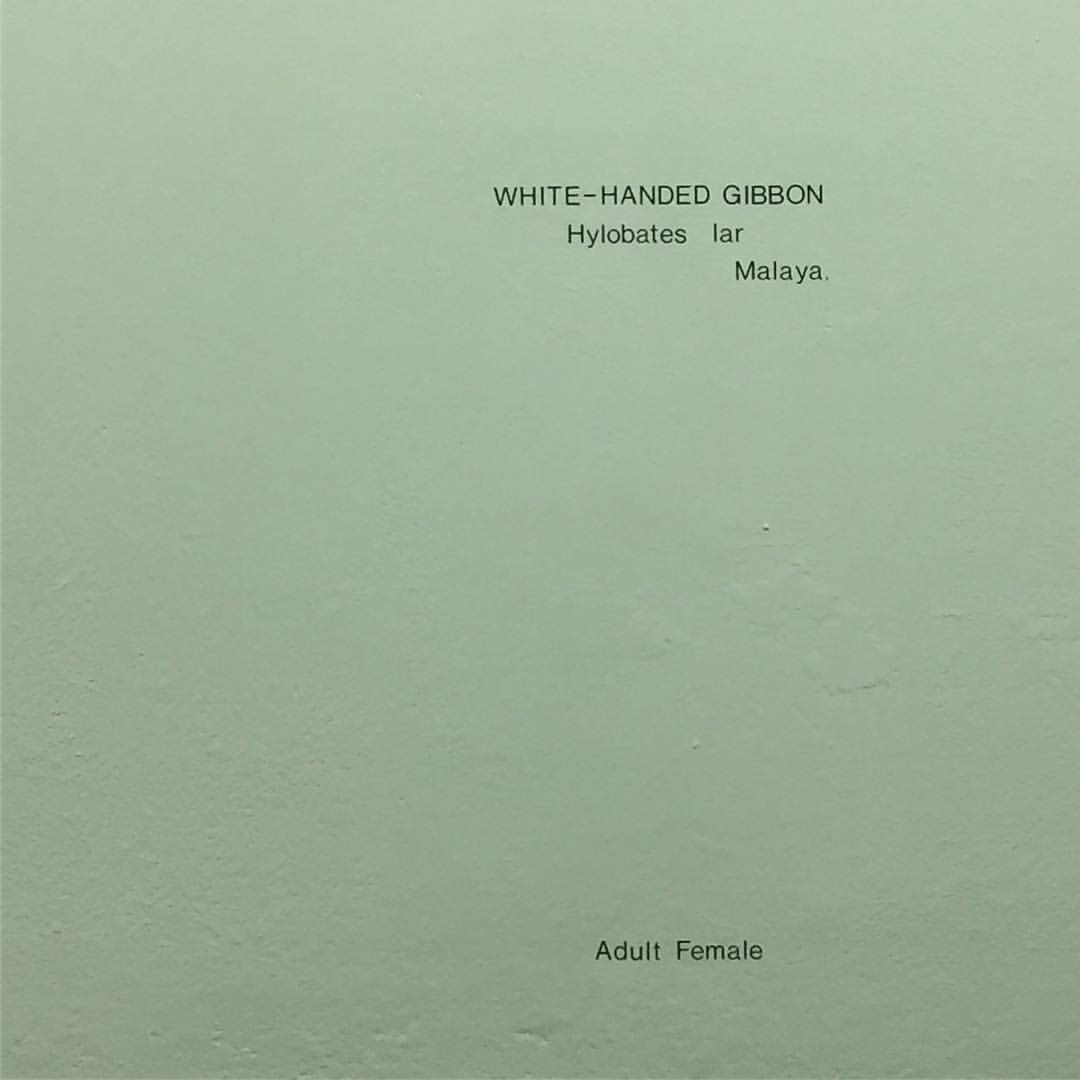 1211-bn6ehe8lc-layout-type-signage-horniman-museum-gardens-beige-grey-square-image-paul-underwood-original-work.jpg