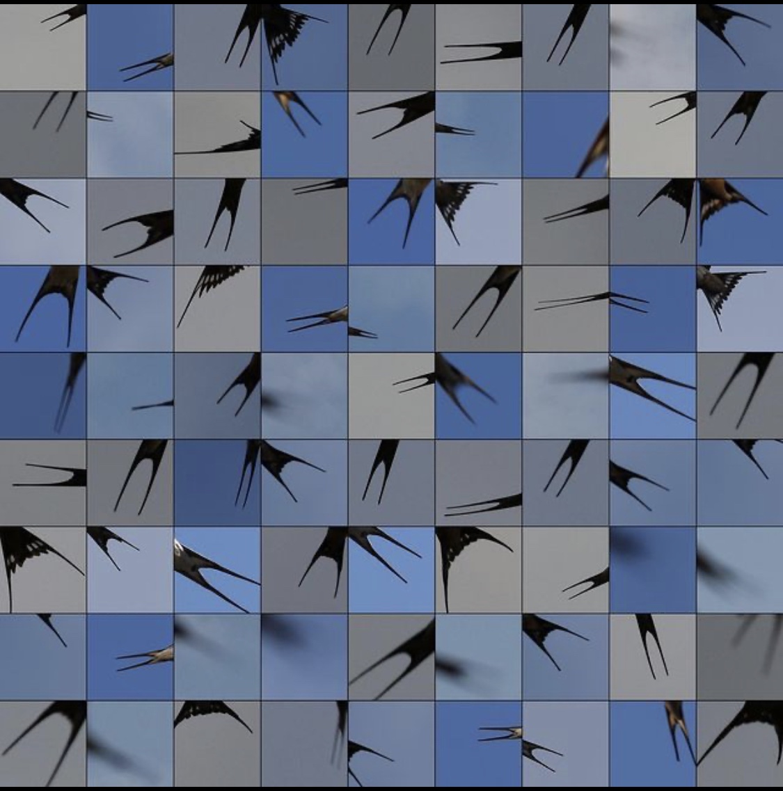 1345-visual-artwork-grey-green-square-image-reference-only.jpg
