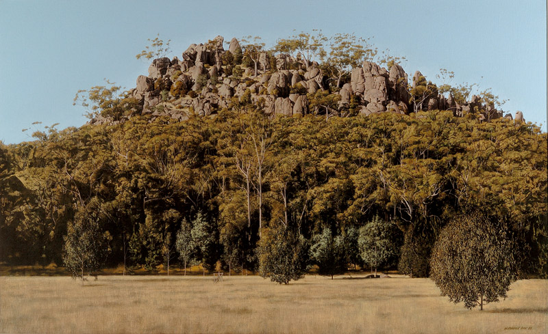 0490-william-delafield-cook-photorealist-painting-art-paintings-honest-view-colour-texture-australian-landscape-stunning-beige-grey-landscape-image-reference-only.jpg