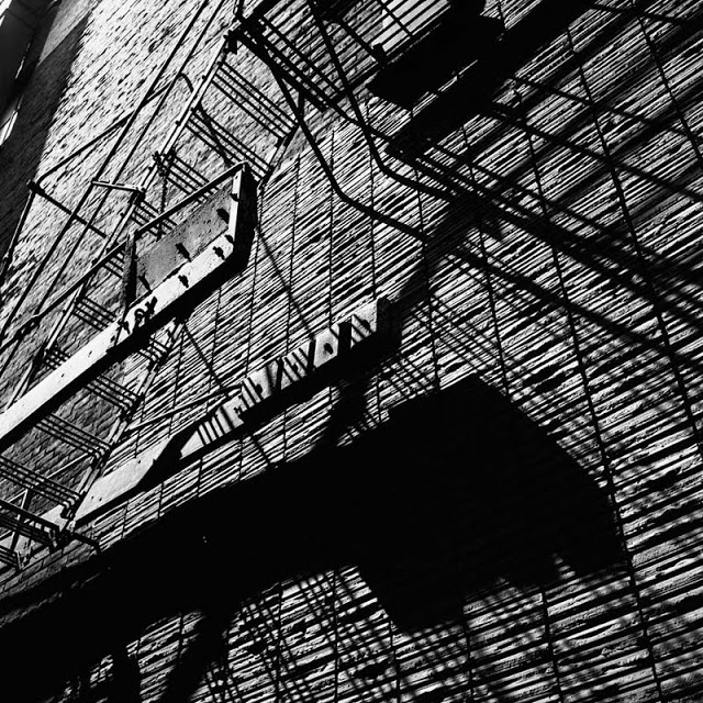 0427-shadows-fire-escape-black-brown-square-image-paul-underwood-original-work.jpg
