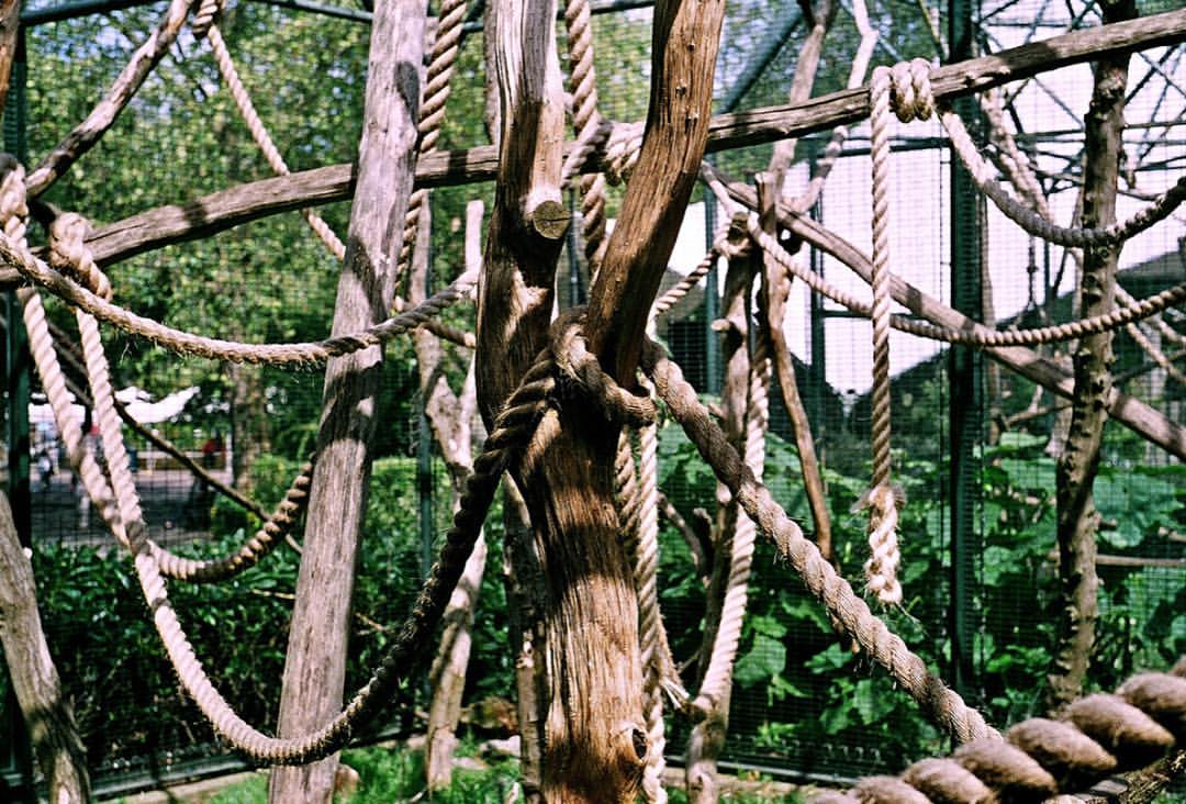 0791-belaitgtaky-mess-rope-tangled-mymindtoday-brown-black-landscape-image-paul-underwood-original-work.jpg