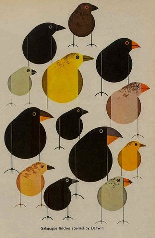 0321-illustrations-birds-beige-black-portrait-image-reference-only.jpg