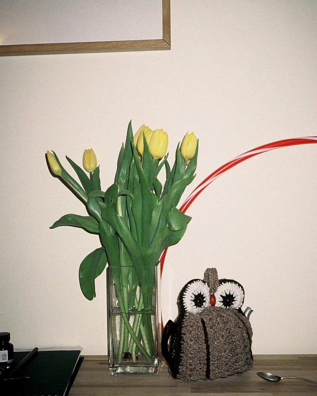 0777-bdkg-sotaoy-hollahoop-everydaylife-teacosy-spoon-flowers-latergram-fun-jcutts-white-brown-portrait-image-paul-underwood-original-work.jpg