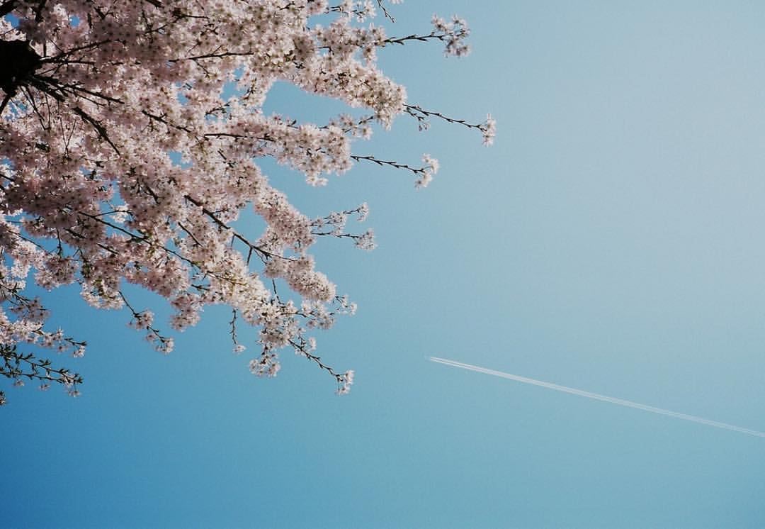 0762-bddjsvgtaqj-vapourtrail-blossom-springfeeling-grey-beige-landscape-image-paul-underwood-original-work.jpg