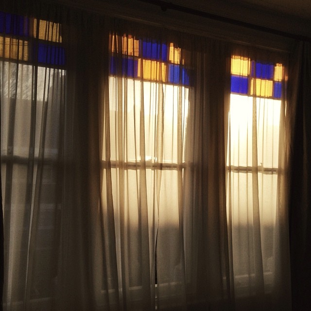 0360-iqu6lwtaj8-windows-wintersun-black-brown-square-image-paul-underwood-original-work.jpg