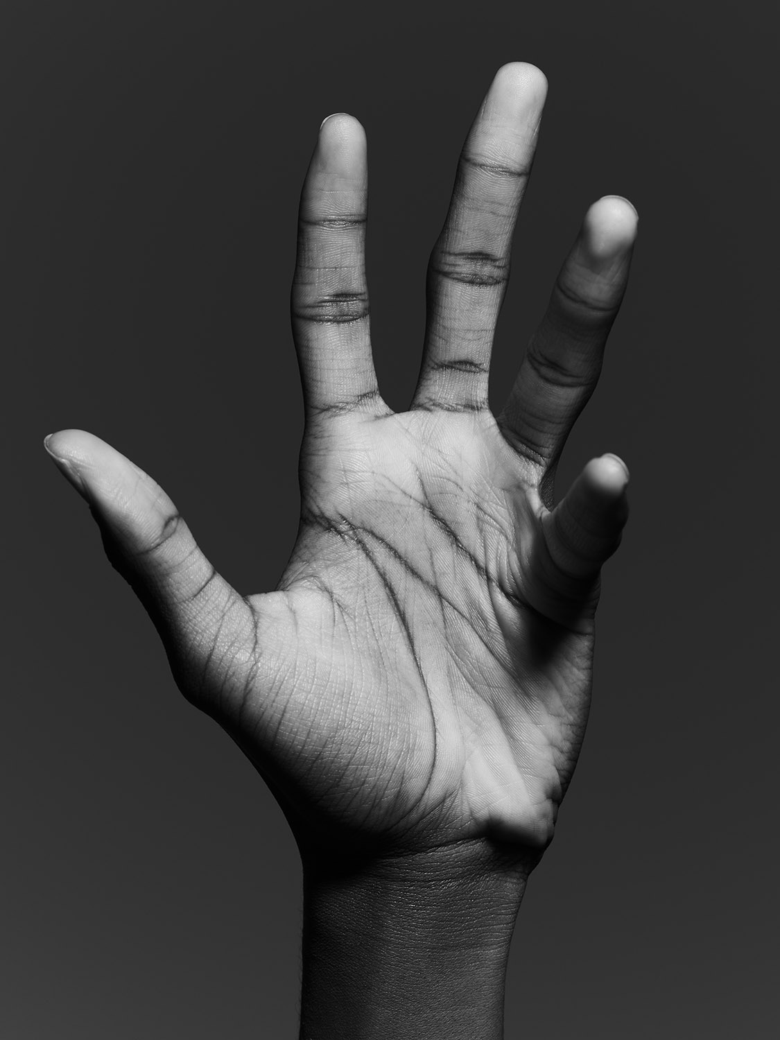 1401-visual-artwork-black-beige-portrait-image-reference-only.jpg
